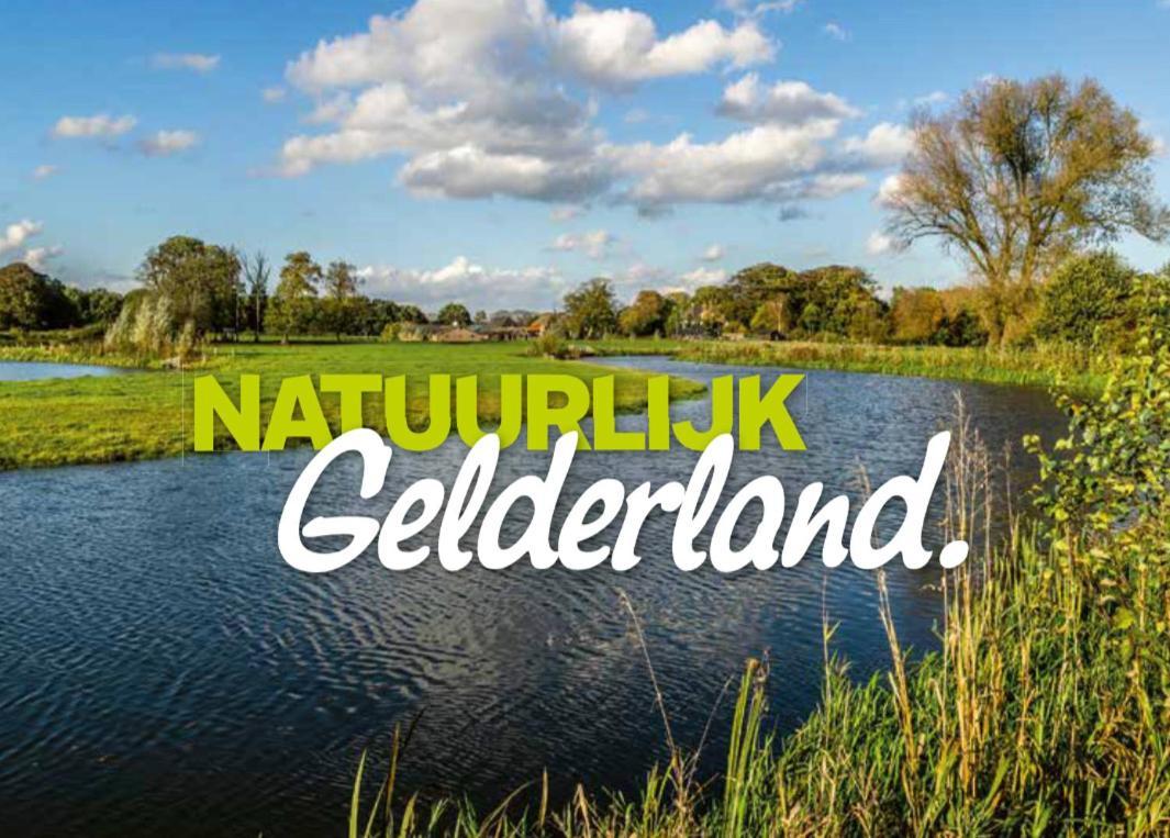 Ferienhaus Luxchalet #Vaju Lathum# Am See, Strand, Pool, Nationalpark Eksteriør billede